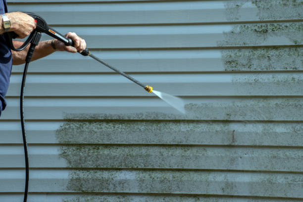 Best Fence Cleaning  in Cohoe, AK