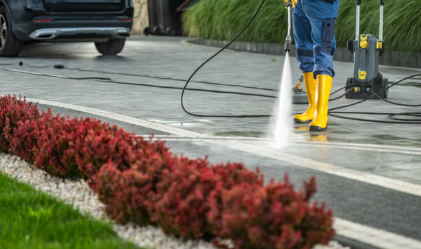 Best Gutter Cleaning  in Cohoe, AK